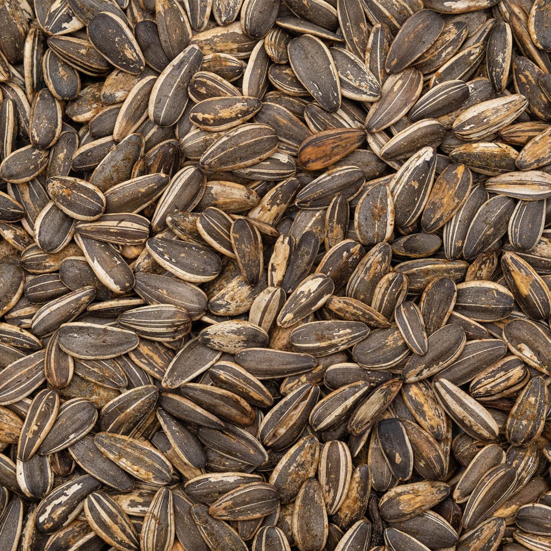 Spicy Dill