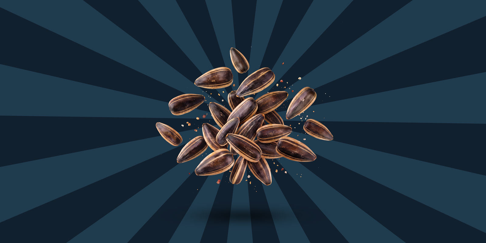 Sota Seedz | Organic Sunflower Seeds – SOTA SEEDZ
